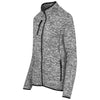 Veste polaire Paragon pour femme - Gris