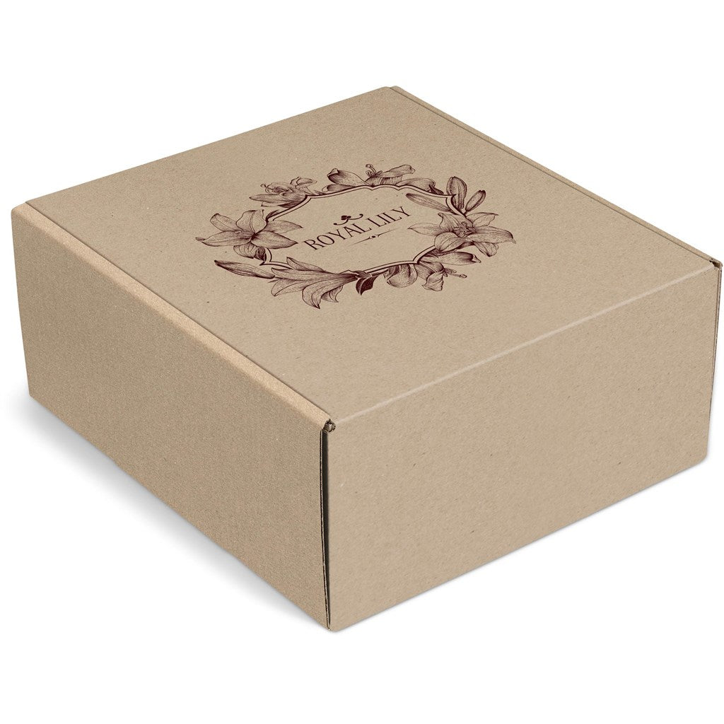 Caixa de oferta Altitude Bosley B (não inclui conteúdo)
