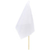 Bandeira de mão pequena Champion 300 mm x 200 mm