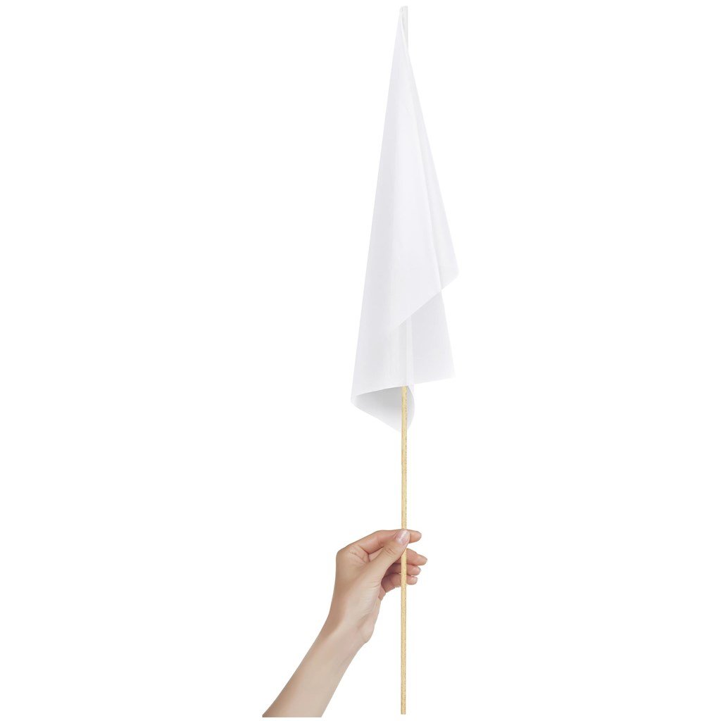 Bandeira Champion Média 450mm x 300mm