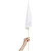 Bandeira Champion Média 450mm x 300mm