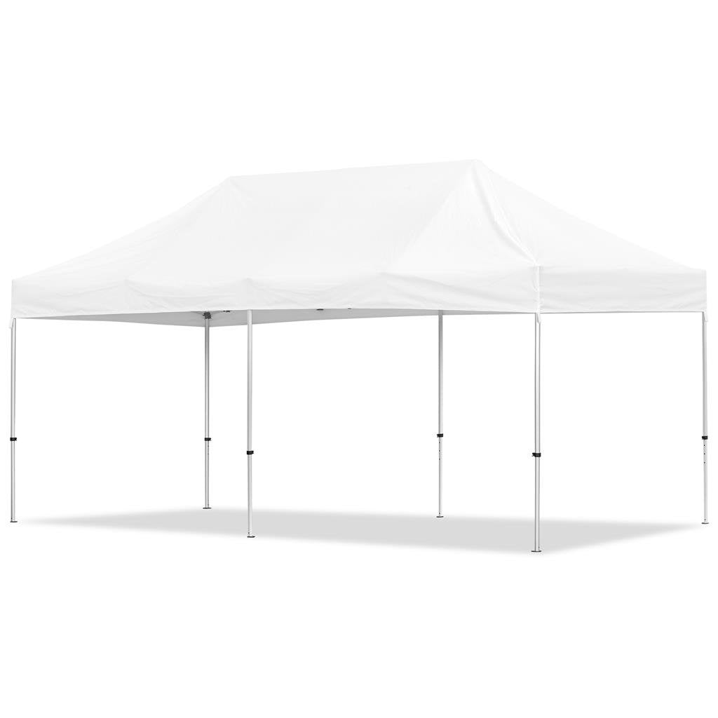 Gazebo en acier revêtu sublimé 6 m x 3 m